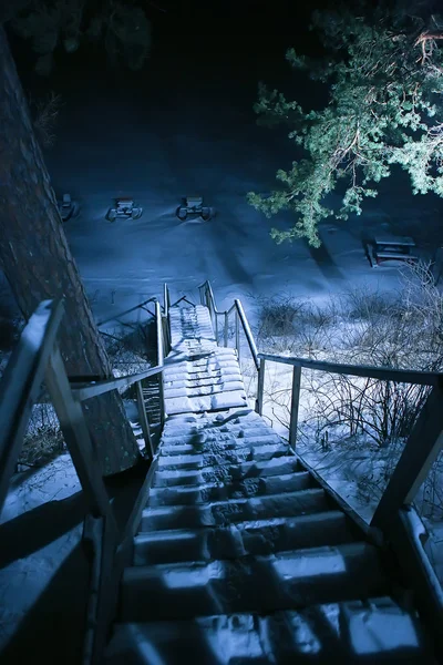 Лестница в зимнем лесу ночью — стоковое фото