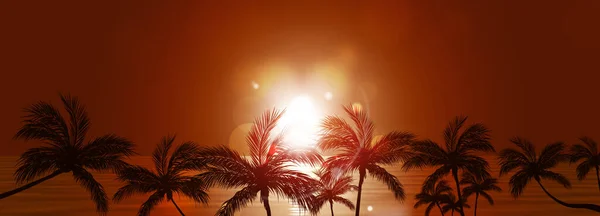 Krásný Zasněný Výhled Západ Slunce Oceán Palmami Tropickém Přímořském Plášti — Stock fotografie