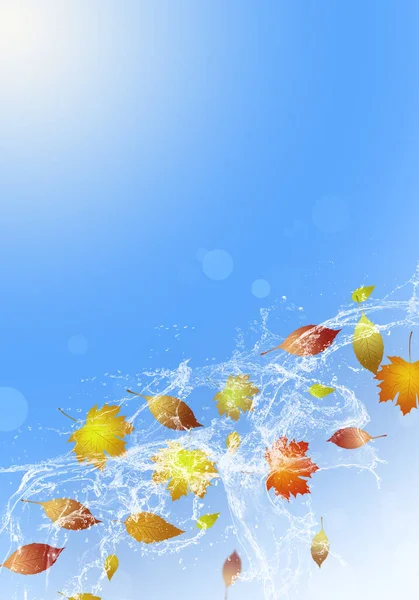 Blau Gelbe Herbstblätter Wasser Plätschern Helle Farben Design Hintergrund — Stockfoto