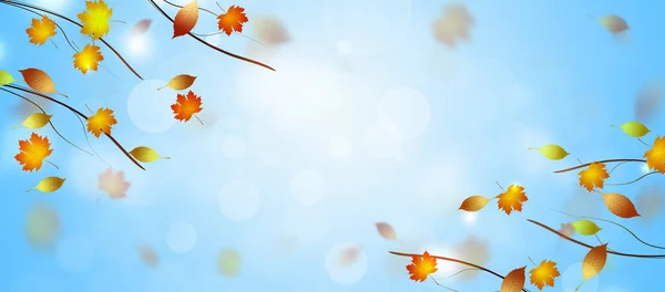 Blaues Helles Banner Mit Herbstlich Herabfallenden Gelben Blättern Von Bäumen — Stockfoto