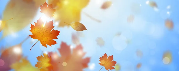 Otoño Caída Hojas Amarillas Banner Decoración Brillante —  Fotos de Stock