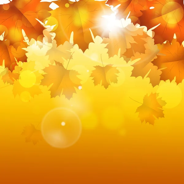 Goldener Herbst heller Hintergrund — Stockfoto