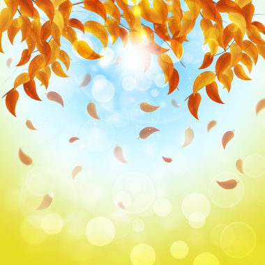 çok renkli sonbahar arka plan