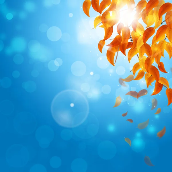Herbst fallende Blätter auf blauem Hintergrund — Stockfoto