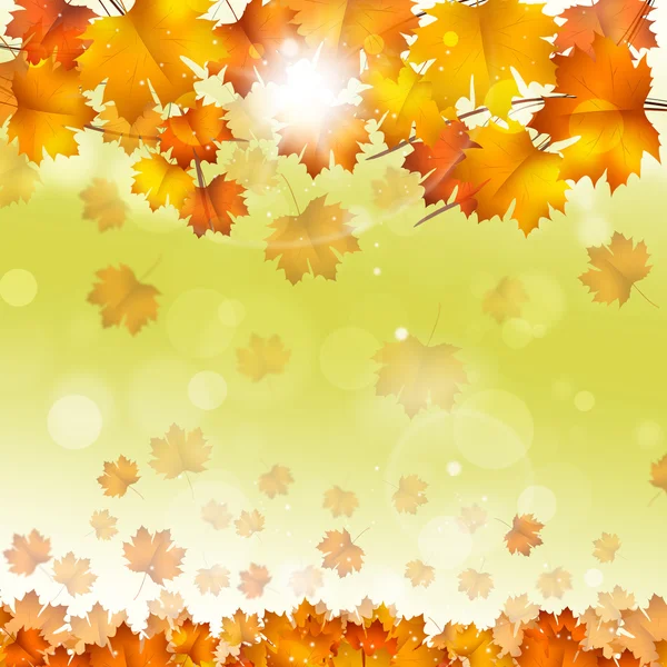 Autumn Yellow Leaves Bright Background — Stok Foto