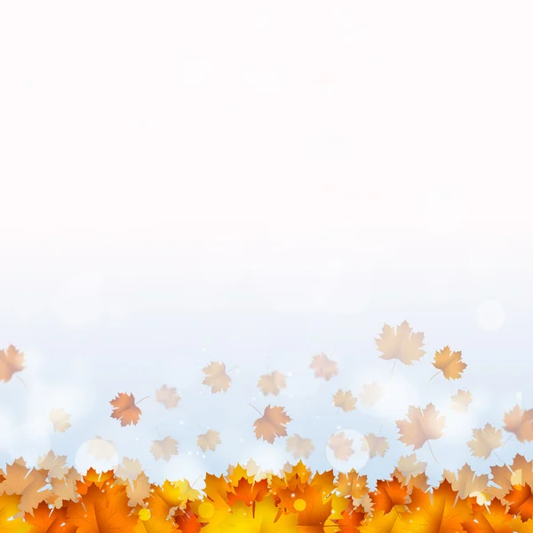 地面に秋の新鮮な黄色の葉 — ストック写真
