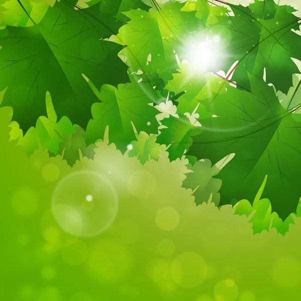 Bright Spring Background — Stock Photo, Image