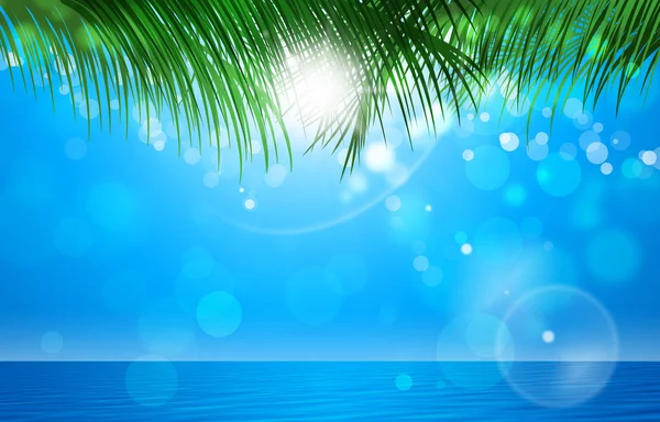 Summer Tropical Background — Stock Photo, Image