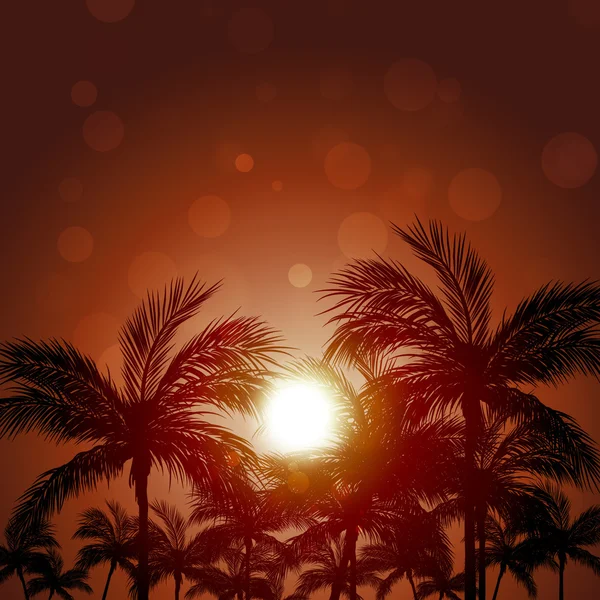 Pacific Palms — Stockfoto