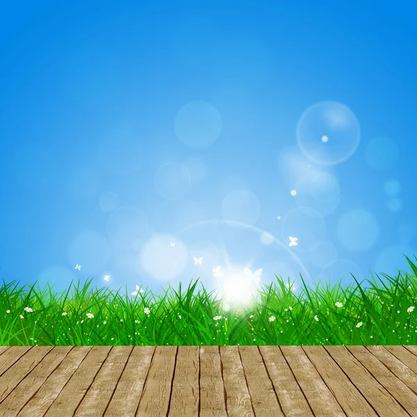 Spring Background — Stock Photo, Image