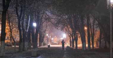 Parlak fenerlerle yağan şiddetli kar yağışı sırasında güzel kış parkı