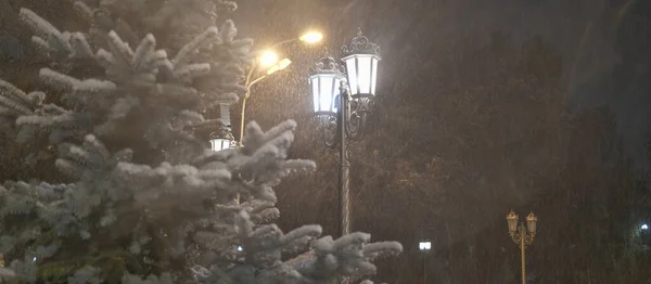 street lamp at night in winter during heavy snowfall on the background of coniferous trees close-up