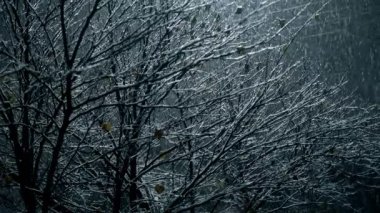 Karda yaprakları olmayan kış ağacı, bir sokak lambasıyla güzelce aydınlatılmış.