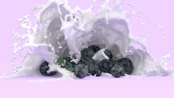 Mirtilli Sfondo Viola Una Spruzzata Latte Animazione — Video Stock