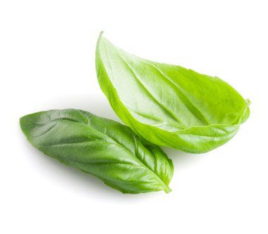 Fesleğen yaprakları beyaz arkaplanda izole