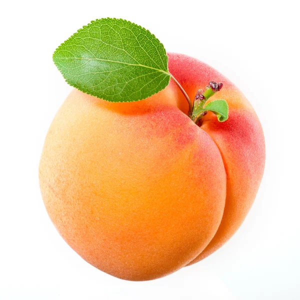 Aprikose mit Blatt auf weißem Hintergrund. — Stockfoto
