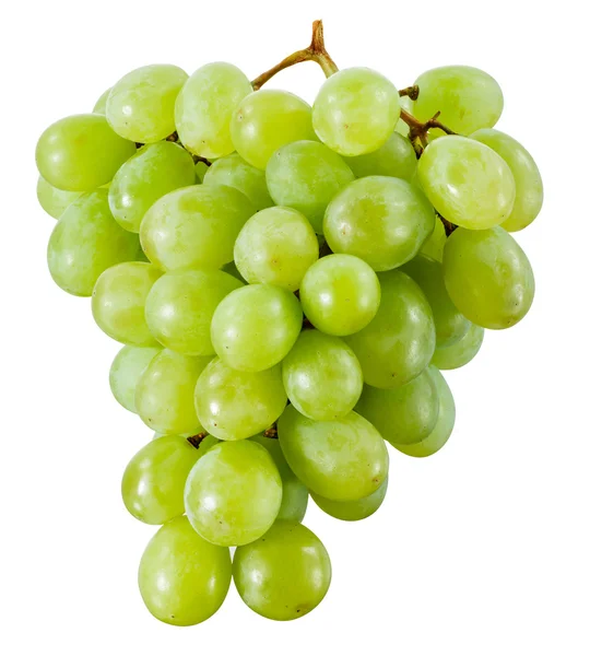 Green grape isolated. With clipping path — Stock Photo, Image