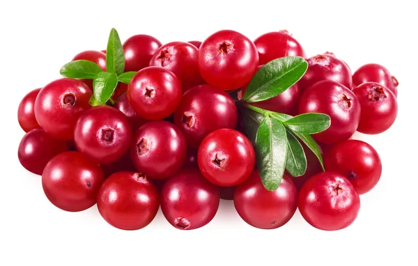 Cranberry diisolasi dengan warna putih. Dengan tapak kliping — Stok Foto