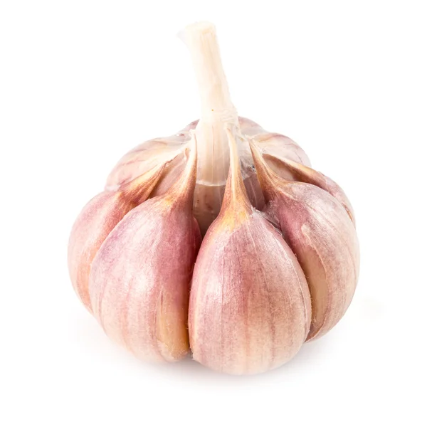 Garlic isolated on white background — Stock Photo, Image