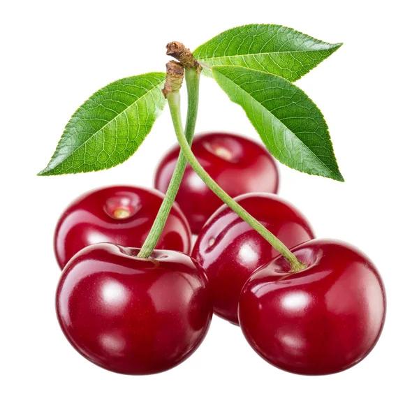 Cherry with leaves isolated on white background — Stock Photo, Image