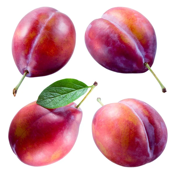 Plum isolated on white background. Collection — Stock Photo, Image