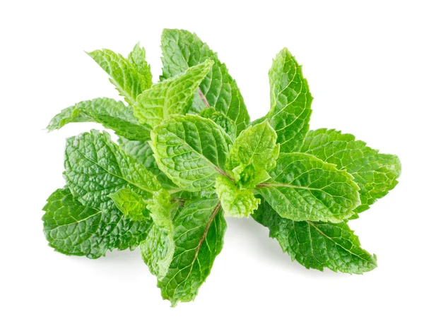 Mint leaves isolated on a white background — Stock Photo, Image