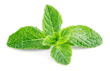 Beyaz arkaplanda izole edilmiş nane yaprakları