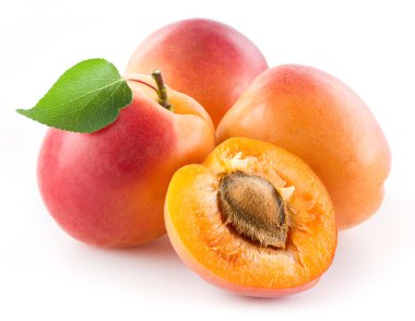 Kayısı beyaz izole yaprak ile