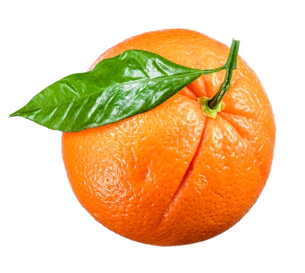 Naranja maduro aislado sobre fondo blanco —  Fotos de Stock