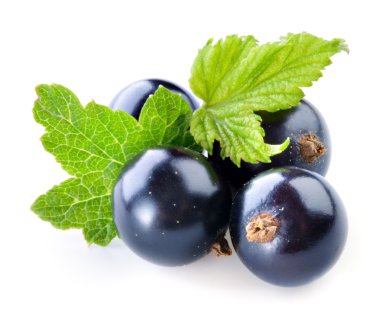 Beyaz arkaplanda siyah frenk üzümü izole edildi