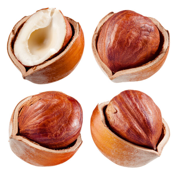 Hazelnut изолированы на белом фоне. Коллекция
