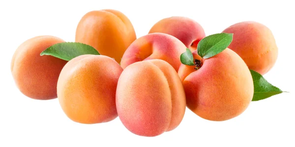 Apricots. Group of ripe fruits isolated on white background — Stock Photo, Image