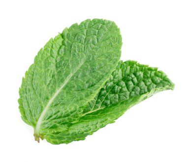 Beyazda izole edilmiş nane