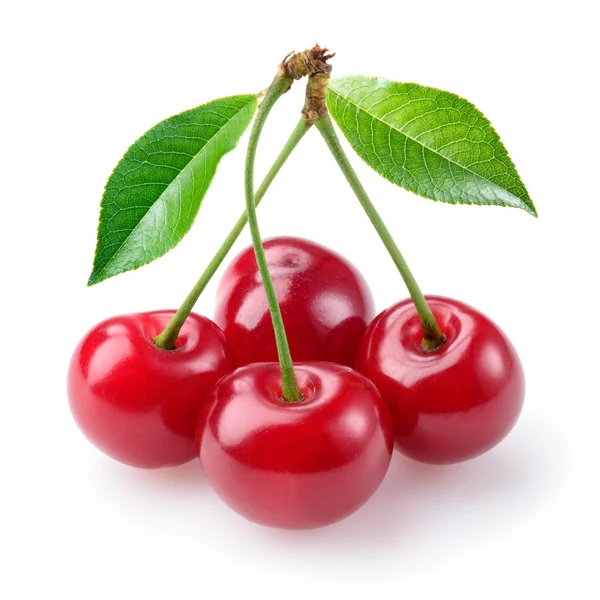 Cherry isolated on white — Stock Photo, Image