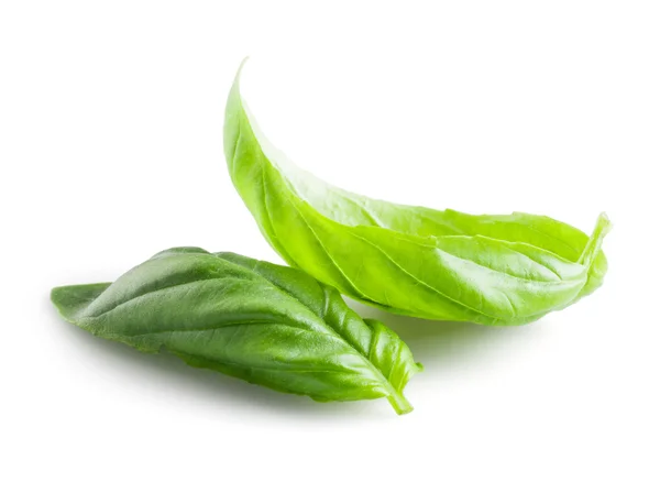 Fresh basil leaves in closeup — Stock Photo, Image