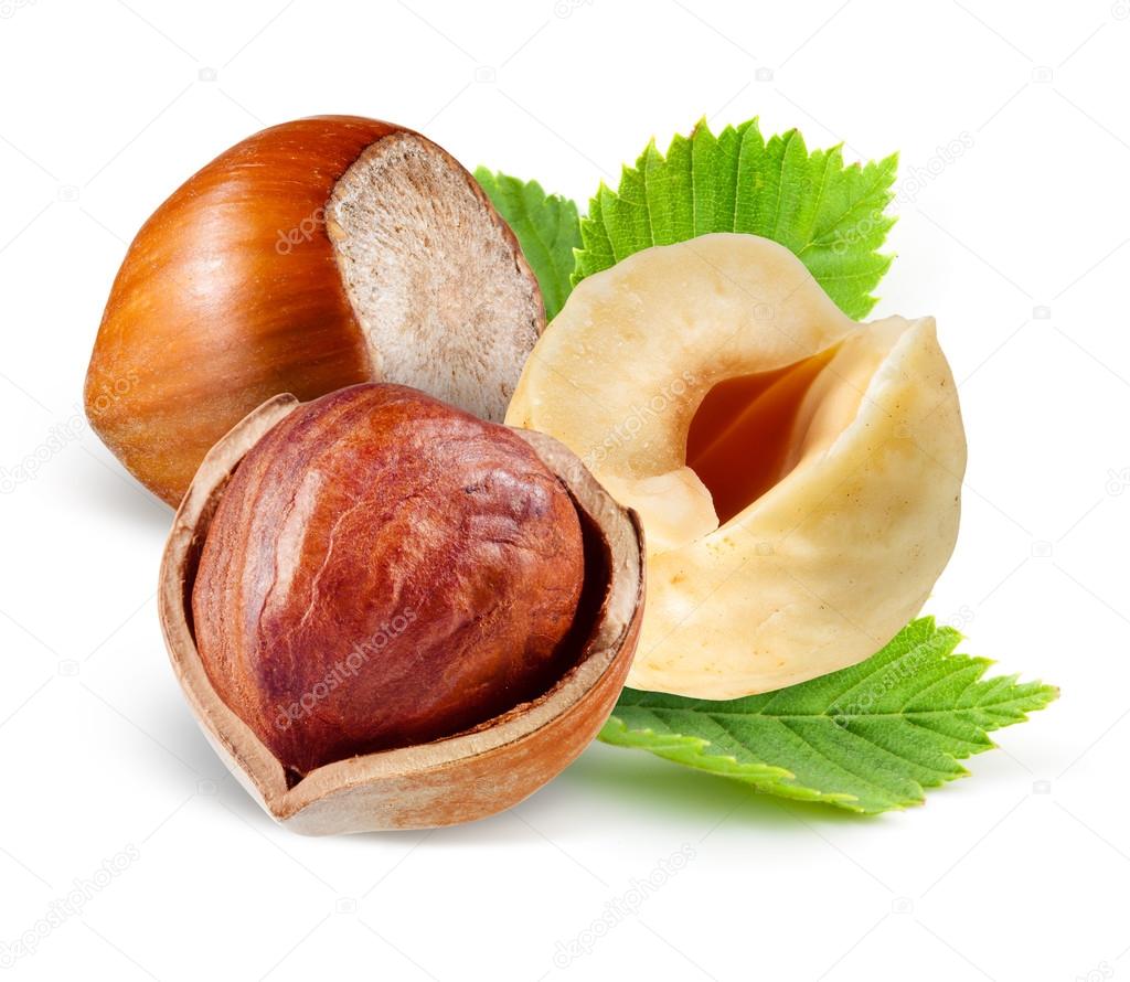 Hazelnuts with leaves isolated on white background