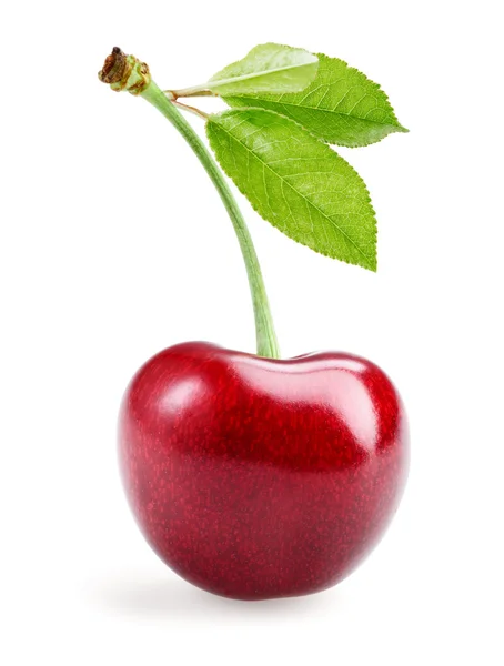 Cherry med leaf isolerad på vit. — Stockfoto