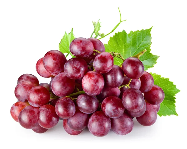 Rijp rode druiven met bladeren geïsoleerd op wit — Stockfoto