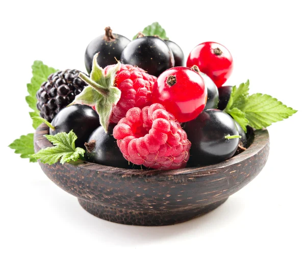 覆盆子、 黑莓和黑醋栗，白色上孤立 — 图库照片
