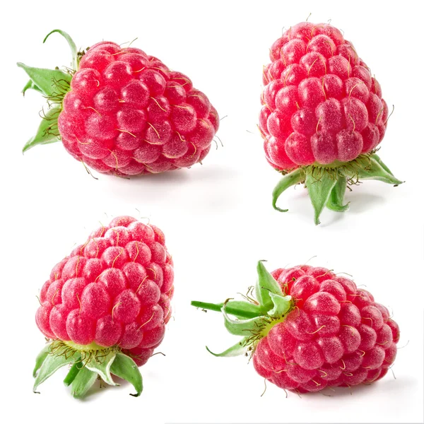 Raspberry isolated on white background. Collection. — Stock Photo, Image