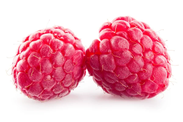 Raspberry isolated on white — Stock Photo, Image