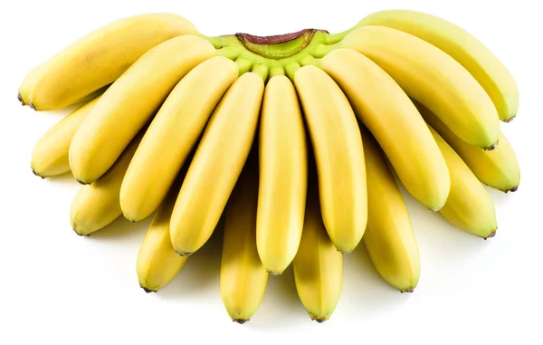 Bunch of baby bananas isolated on white background — Stock Photo, Image