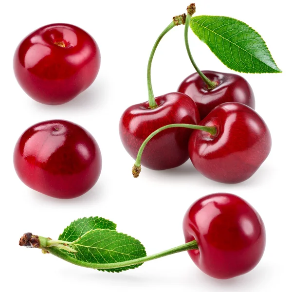 Cherry with leaves isolated on white. Collection. — Stock Photo, Image