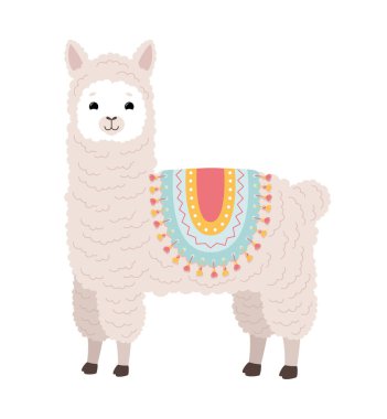Karakter. Arkasında pelerin olan Alpaca. Vektör illüstrasyonu.
