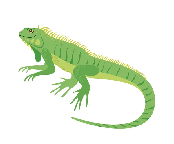 A personagem. Iguana. Lagarto. Réptil. Ilustração vetorial — Vetor de Stock