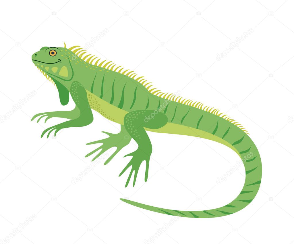 The character. Iguana. Lizard. Reptile. Vector illustration