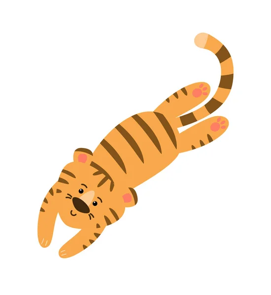 De tijger ligt, rust en kijkt. Vectorafbeelding. — Stockvector
