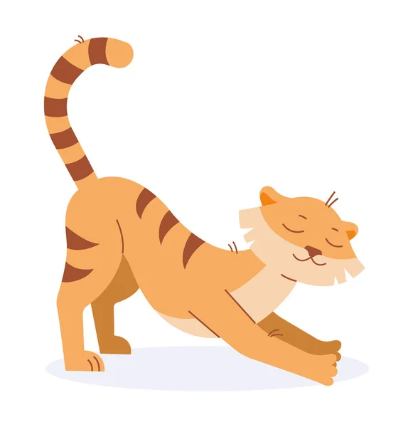 Tigern sträcker sig när den står på fyra ben. Vektorbild. — Stock vektor
