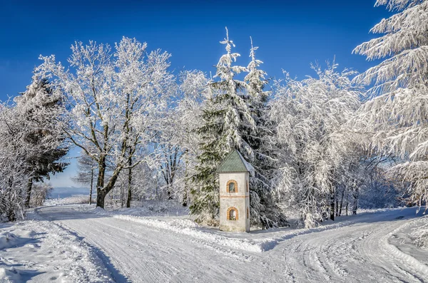 Bukovina K? odzka része Kudowa Zdroj, Lengyelország, a Szudéta-vidéket — Stock Fotó