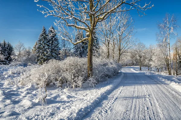 Bucovina parte di Kudowa Zdroj in Polonia nel Sudetenland — Foto Stock